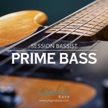 贝斯音源 NI Session Bassist Prime Bass [KONTAKT] 音色