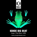 Keep It Sample Kokoe Big Beat WAV MiDi Trap House Break Techno 综合类采包