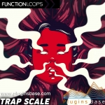Function Loops Trap Scale WAV MiDi 采样包 RNB 嘻哈 说唱beat 音色