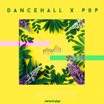 Samplestar Dancehall x Pop WAV 流行 舞曲 采样包Loop音色 电子