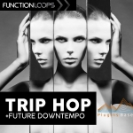 Function Loops Trip Hop Future And Downtempo WAV MiDi 采样包 音色 电音