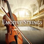 Emotive Strings 节奏弦乐 Kontakt 音源 小提琴 28G
