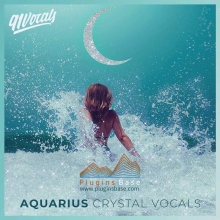 91Vocals Aquarius (Crystal Vocals) WAV 人声采样包 电子音乐Loop 音色