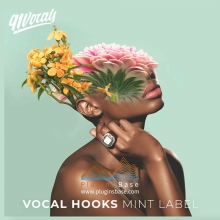 91 Vocals Vocal Hooks Mint Label WAV Pop 流行 人声采样包 Loop EDM音色 BGM素材