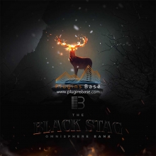 Brandon Chapa Black Stag for [Omnisphere Presets] 预制音色
