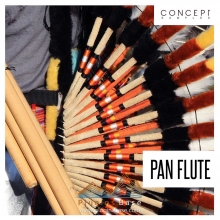 Concept Samples Pan Flute [WAV] Sample 排箫 采样包 无损音乐音色 下载