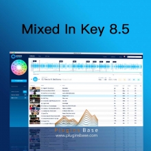 Mixed In Key 8 v8.5.3 [Mac+MAC] 调性分析 测速 测音调 写标签 和声 混音 Mixing DJ打碟 排歌软件 下载