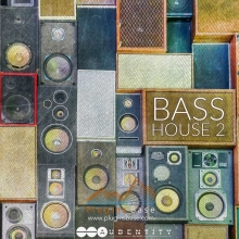 Audentity Records Bass House Vol 2 [Serum Spire Massive Presets + MIDI + WAV] Sample Packs 采样包 预制音色