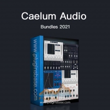 Caelum Audio Bundles 2021 [WiN+MAC] 后期混音效果器插件 完整版