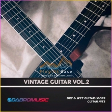 吉他采样包 DABRO Music Vintage Guitar Vol 2 [WAV REX] Samples 音色