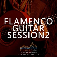 吉他采样包 Blackwood Samples Flamenco Guitar Session 2 [WAV] 音色
