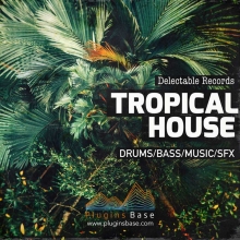 电音采样包 Delectable Records Present Tropical House 01 [WAV] 音色