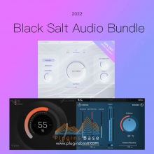 Black Salt Audio Bundle 2022 [WiN+MAC] 压缩 饱和 低音 立体声 效果器插件