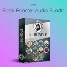 黑公鸡完整版 Black Rooster Audio The ALL Bundle 2022 v2.5.9 [WiN] 混音母带效果器插件