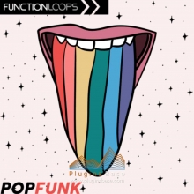 流行放克采样包 Function Loops Pop Funk [WAV] 音色