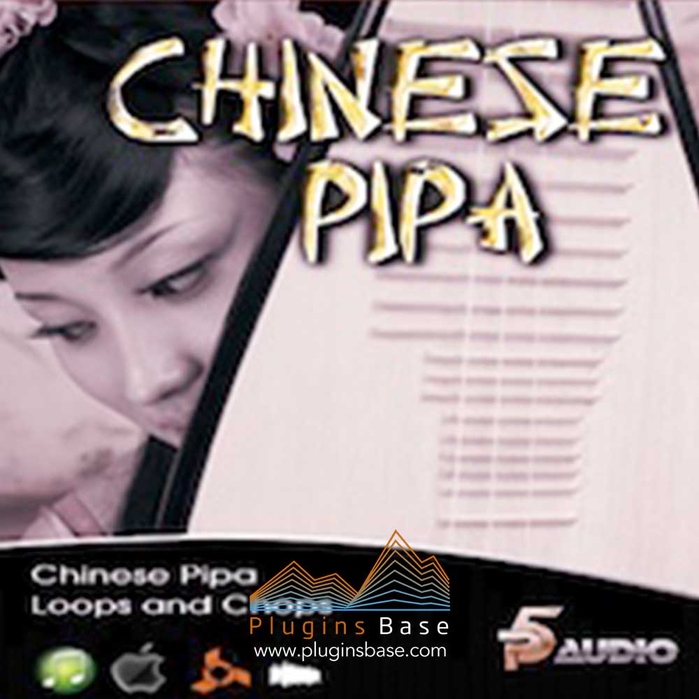 中国琵琶采样包 P5 Audio World Grime Loops and Licks Chinese Pipa [WAV]