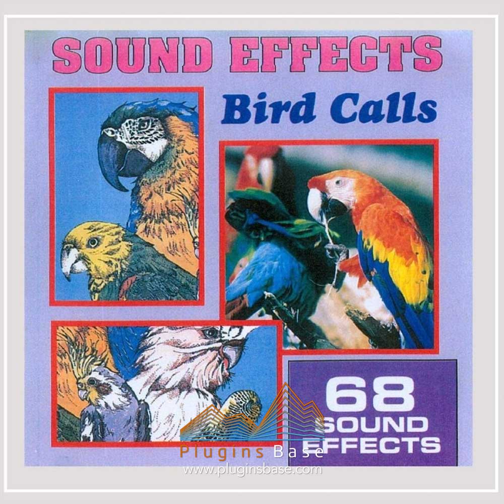 各类鸟叫声采样包 Anton Hughes Sound Effects Bird Calls FLAC