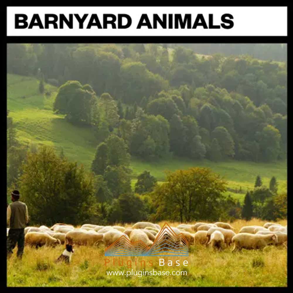农场各类动物声音 音效 Big Room Sound Barnyard Animals WAV 电影游戏配乐音效