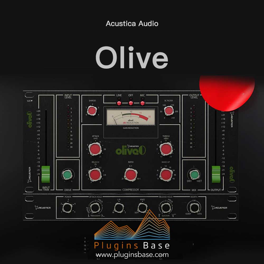 复古调音台插件 Acustica Audio Olive 2024 [WiN+MAC]