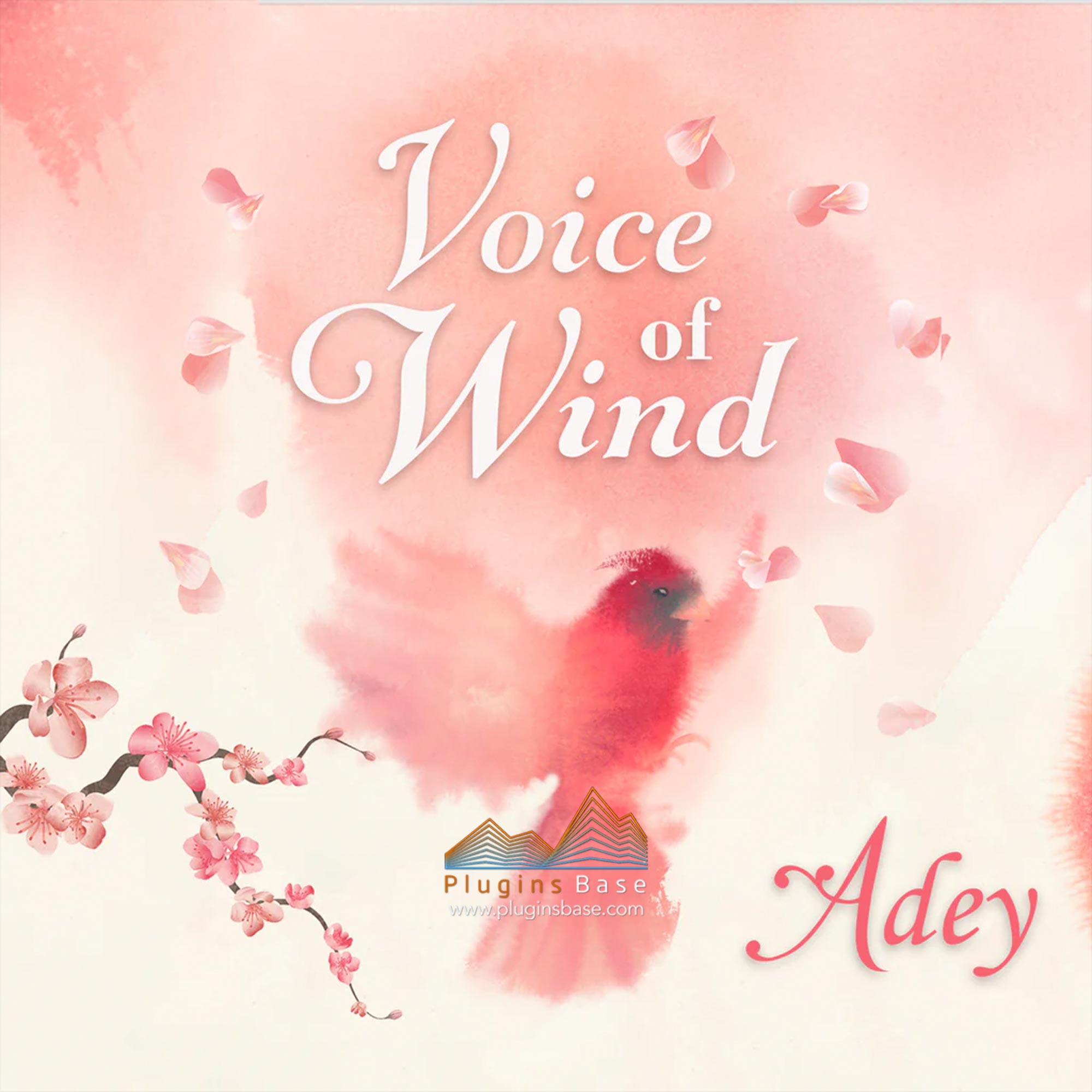 风之空灵女声独唱人声音源 Soundiron Voice Of Wind Adey v1.1 KONTAKT 音色库