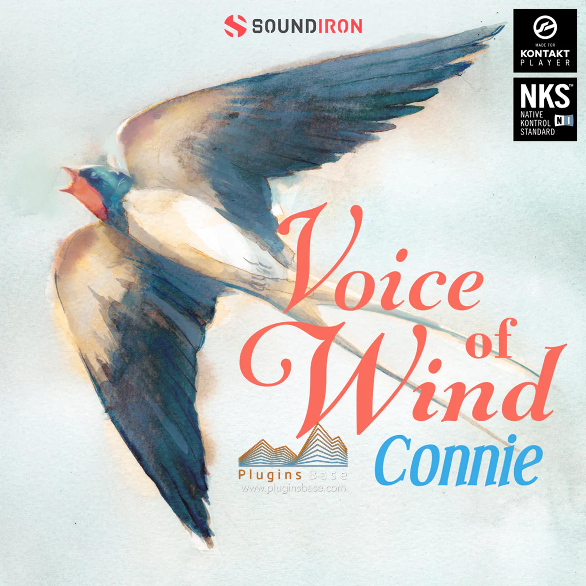 风之声女声哼唱/独唱/人声音源 Soundiron Voice of Wind Connie v1.0 KONTAKT 音色库