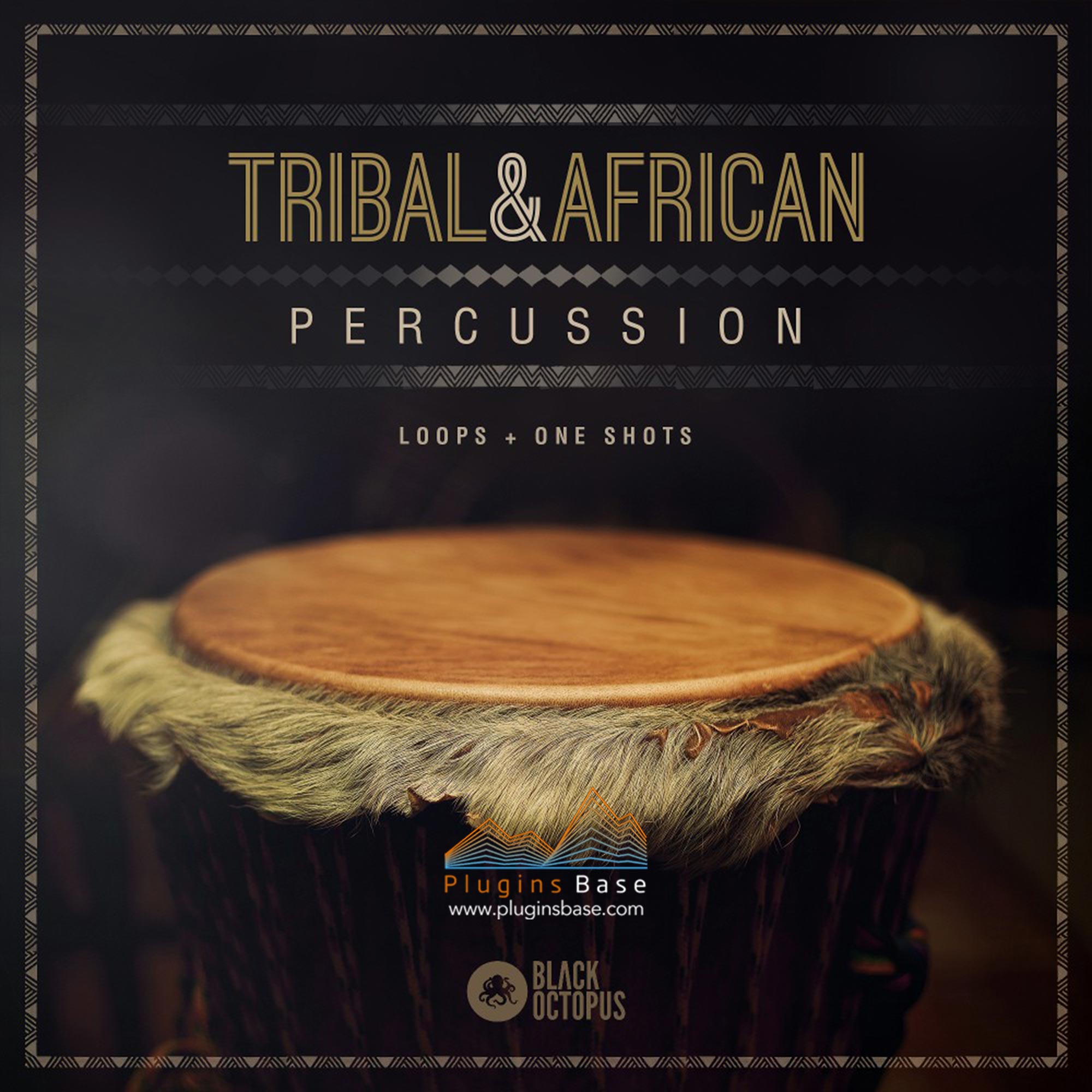 非洲部落手鼓打击乐采样包 Tribal And African Percussion WAV 音色