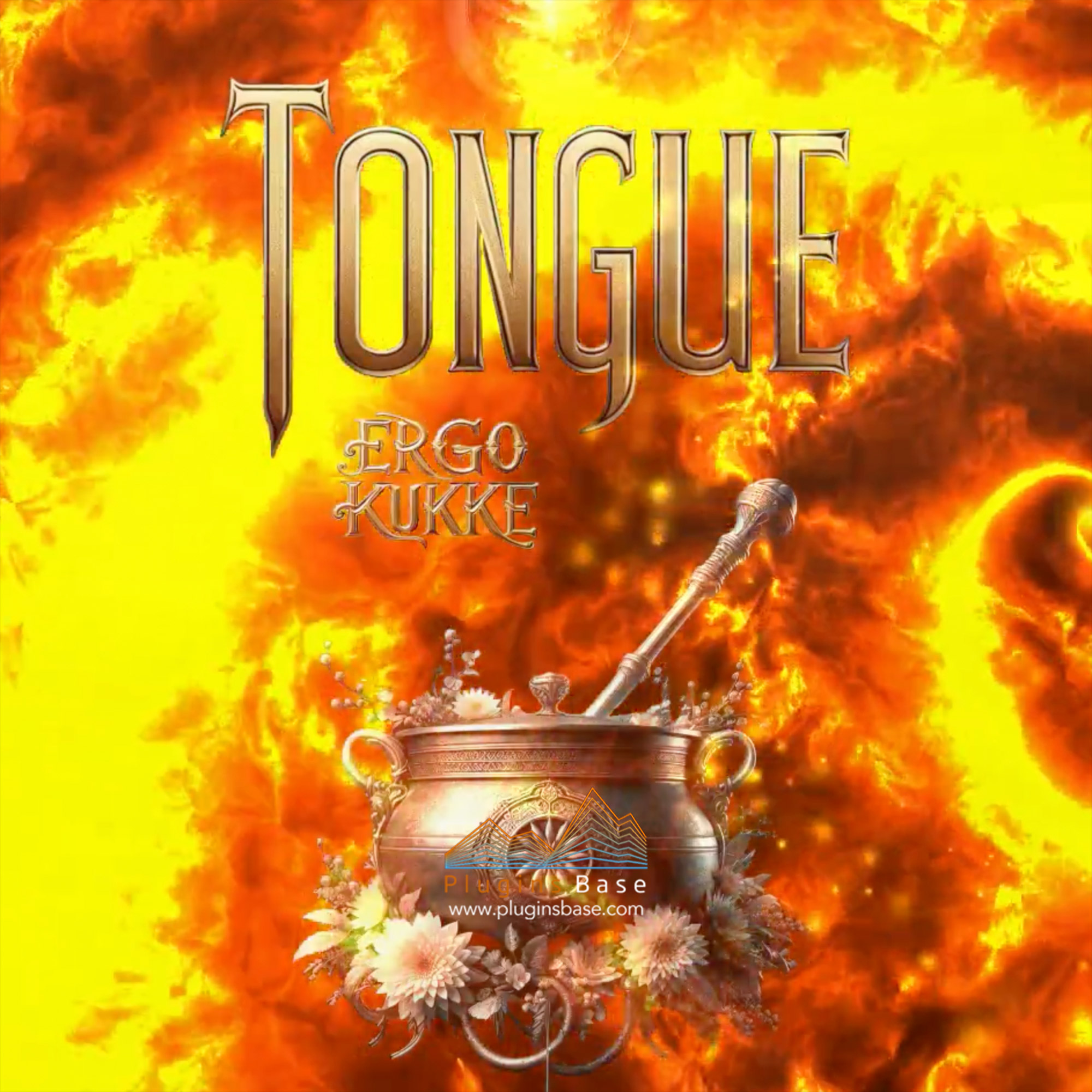 舌鼓手碟控铃声打击乐音源 Ergo Kukke Tongue KONTAKT 音色库